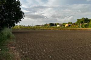 Campi agricoli