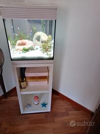 Acquario Askoll pure M