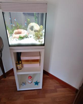 Acquario Askoll pure M