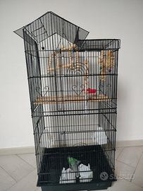 Gabbia per pappagallini