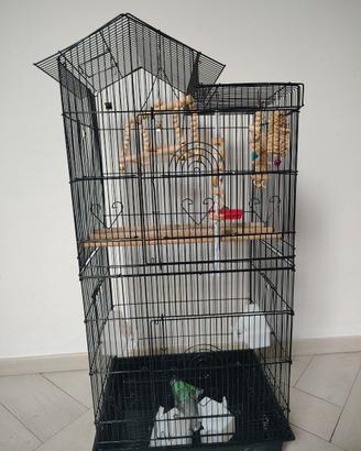 Gabbia per pappagallini