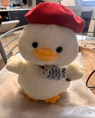Anatra Peluche Interattiva: Canta, Parla e Balla!