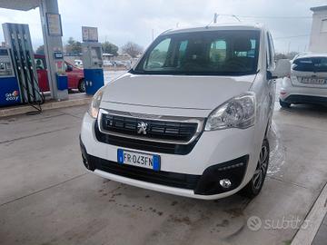 Peugeot Partner Tepee DANGEL 4X4 BlueHDi 100 Outdo