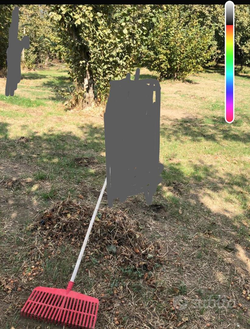 Terreno 2600metri quadrati - Altro