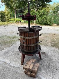 Torchio UVA