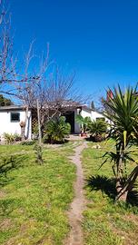 Casa e terreno