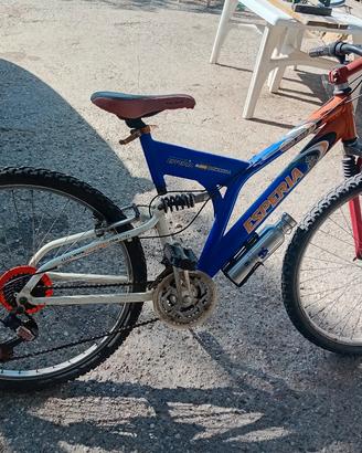 bicicletta mountinbike