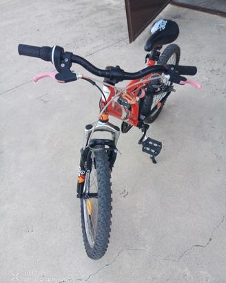 Bicicletta bambino 20 pollici