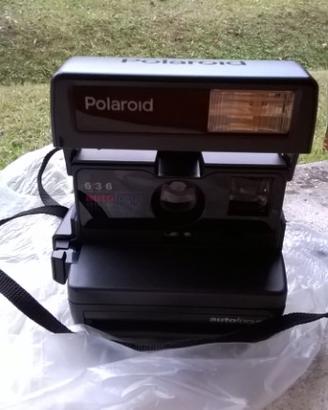Polaroid
