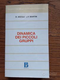 Dinamica dei piccoli gruppi