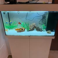 Acquario juwel + mobiletto