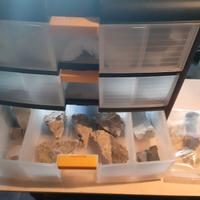 Minerali da collezione, anche fossili e oro