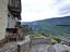 Immagine 7