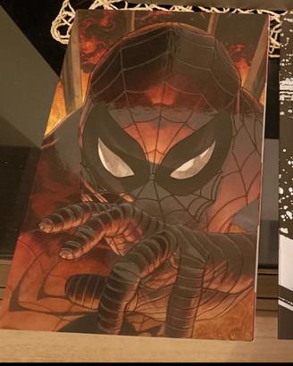 fumetto spiderman 12 ed. Variant FX Simone Bianchi