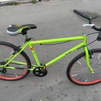 Bici Olmo 26 pollici