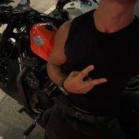 Harley-Davidson Roadster 1200 - 2020