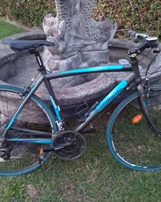 Bicicletta sportiva lombardo