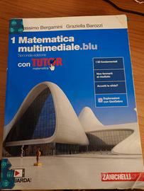 Matematica multimediale blu vol 1 