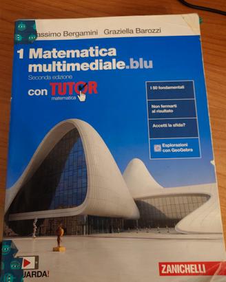Matematica multimediale blu vol 1 
