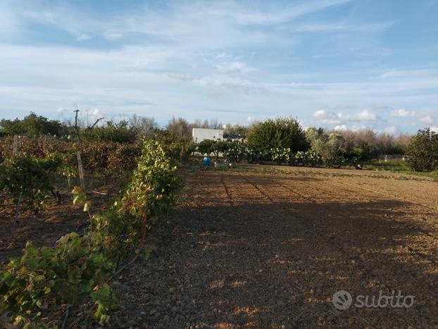 Terreno con abitazione ad uso agricolo