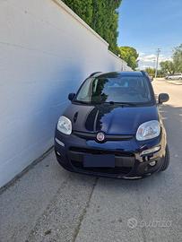 panda 1200 benzina