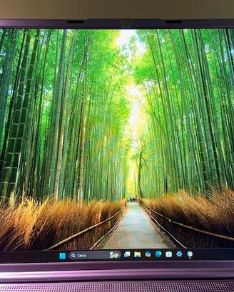 PC Portatile LAPTOP NOT DD N600 