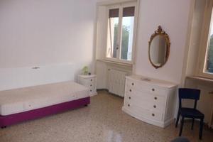 Camere per studenti in appartamento centro Forlì
