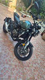 Voge Trofeo 300 - 2020