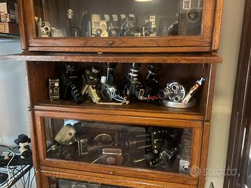 libreria modulare Globe-Wernikche