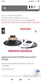 recone kit 18 sound