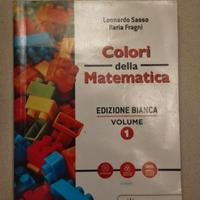 Libro di matematica prima superiore 