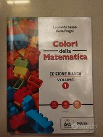 Libro di matematica prima superiore 