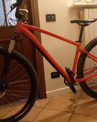 MTB 29 
