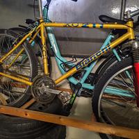 Mountain bike Bianchi 