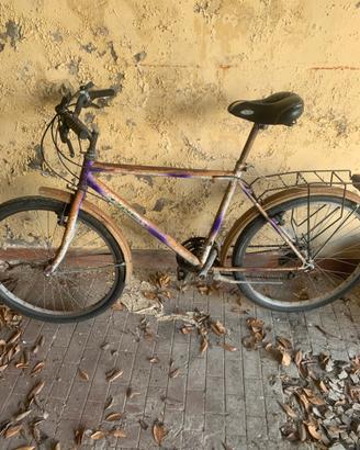 Bici uomo