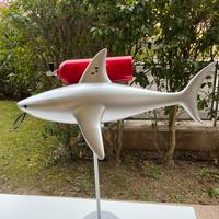 Squalo da arredo/vetrina mare