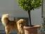 Immagine 5