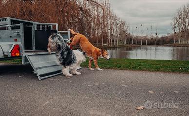 Box trasporto animali per rimorchio