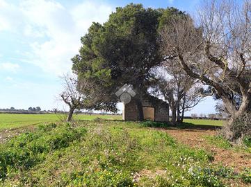 CASA DI CORTE A NARDÒ