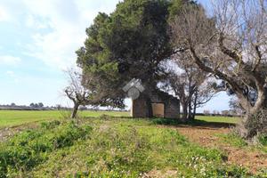 CASA DI CORTE A NARDÒ