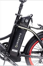 E-bike Argento Piuma con 2 Batterie orig