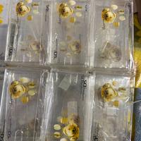 Stock 30 Custodie Nintendogs per Nintendo Ds Lite