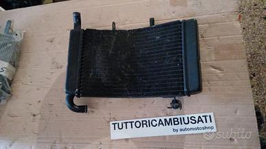 radiatore cagiva mito raptor 125 ev ecc