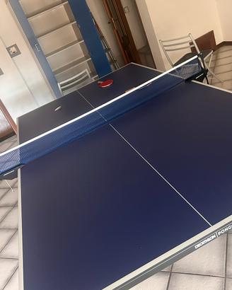 Tavolo da ping-pong indoor