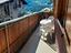 Immagine 6