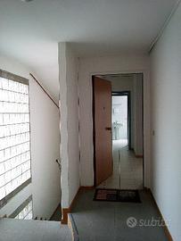 Show-room in zona centrale a Fiesso d'Artico (VE)