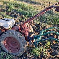 PASQUALI CON ATTREZZI