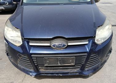 MUSATA COMPLETA FORD Focus Berlina 5° Serie (11>1