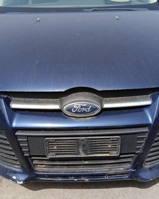 MUSATA COMPLETA FORD Focus Berlina 5° Serie (11>1
