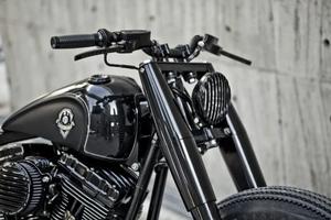 Parti speciali Harley Davidson